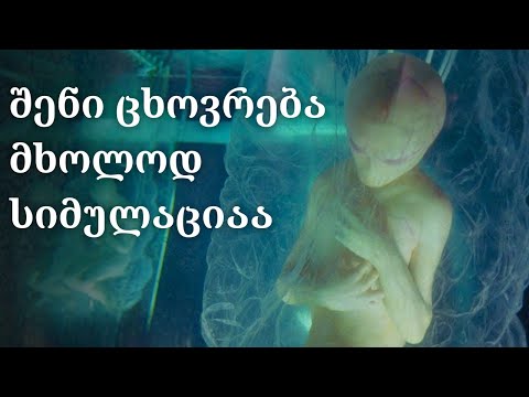 შენი ცხოვრება მხოლოდ სიმულაციაა? შეიძლება სიმულაციის თეორია იყოს რეალობა? ჩვენ ვცხოვრობთ მატრიცაში?