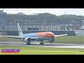 LIVE PlaneSpotting 🔴 Heavy Arrivals #SCHIPHOL AIRPORT