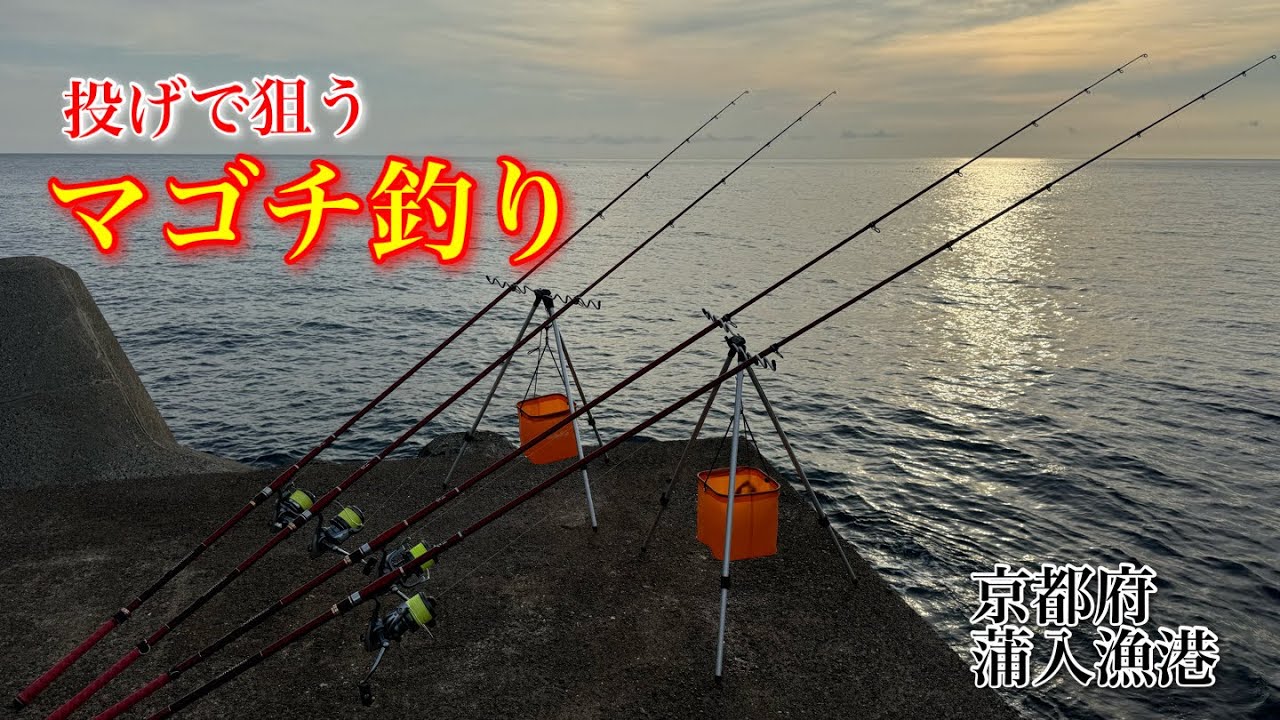 投げで狙うマゴチ釣り…京都府蒲入漁港