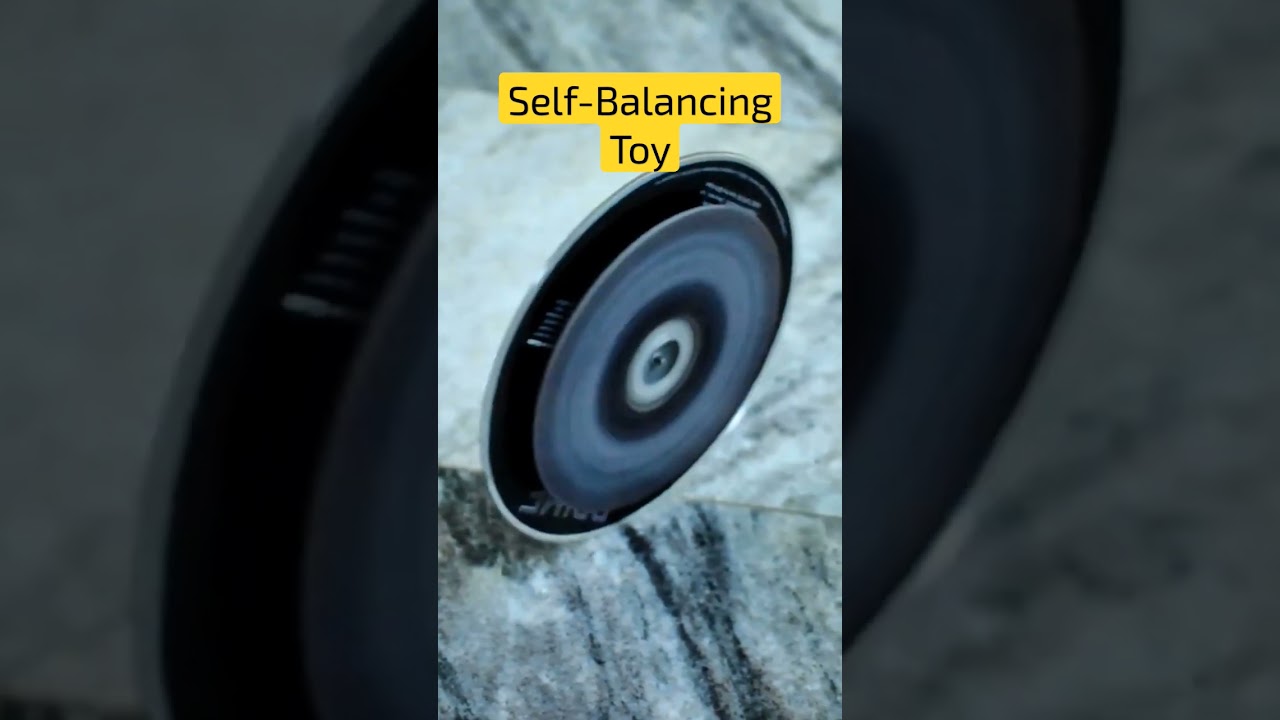 Self-Balancing Toy 