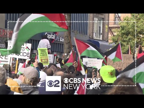 Thousands of demonstrators in the streets of New York in support of the Palestinians