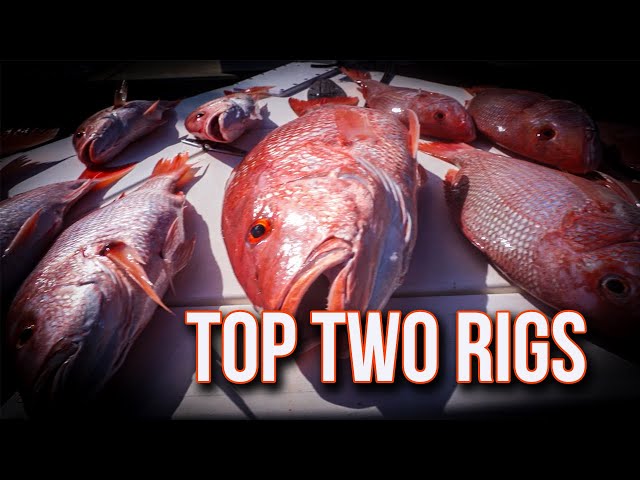 Top TWO American Snapper Rigs for Offshore Fishing 