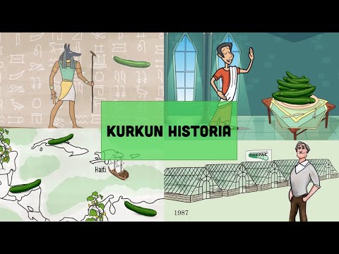 SIGGPAC KURKUN HISTORIA - SIGGPAC GURKANS HISTORIA
