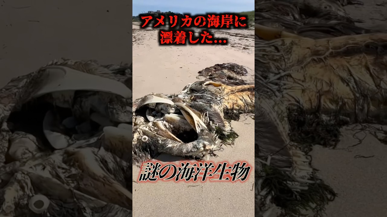 グロスターの海蛇か…#uma #未確認生物 #未確認生命体