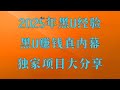 怎么兑换黑U ,2025暴利网赚项目汇总!,教你10分钟就可以赚到2000日赚2000元 usdt网络赚钱 2025年赚钱项目,黑U是真的吗?,教你10分钟学会安全的