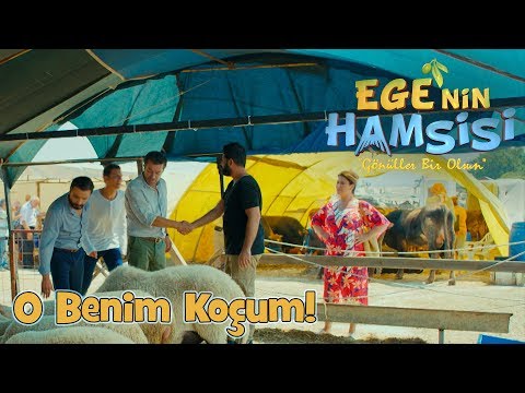 Pazarlık sünnettir! - Ege'nin Hamsisi 7.Bölüm