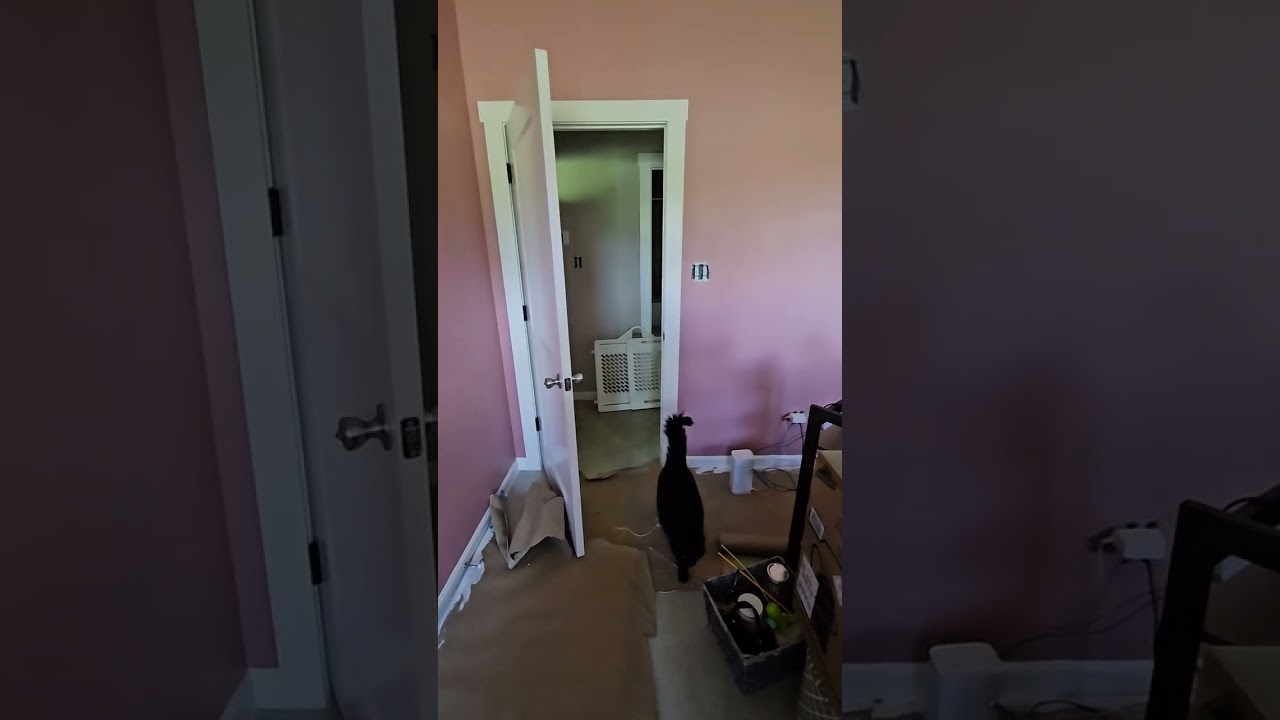 Big vibes at Sanders Ranchette! 