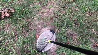 Nut Gatherer 🥜 Nut Picker Upper 🥜 Nut Wizard 🥜 Does It Work