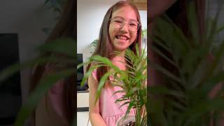 спрашиваю у дочки и подсказываю ответы #комнатныерастения #цветы #хамедорея #пальма