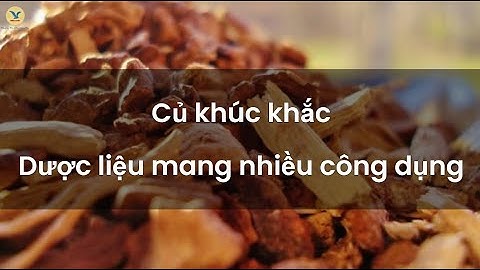 Lợi ích của củ khúc khắc với sức khỏe và cách sử dụng hiệu quả