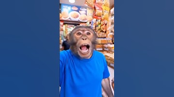 My first monkey Vlog🥰😍🥰😘#Ai #viral #video #monkey #viralvideo #viralshort #monkeyvideo