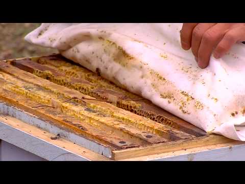 ჯიპიაი ჰოლდინგის საჩუქარი ბედიანის ბავშვთა ცენტრს