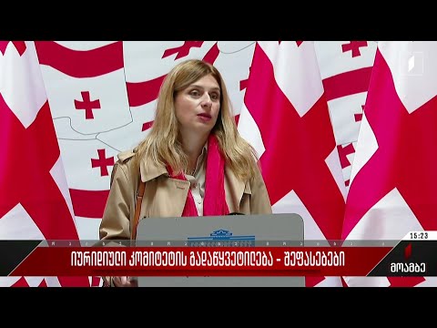 იურიდიული  კომიტეტის  გადაწყვეტილება - შეფასებები პოლიტიკურ სპექტრში