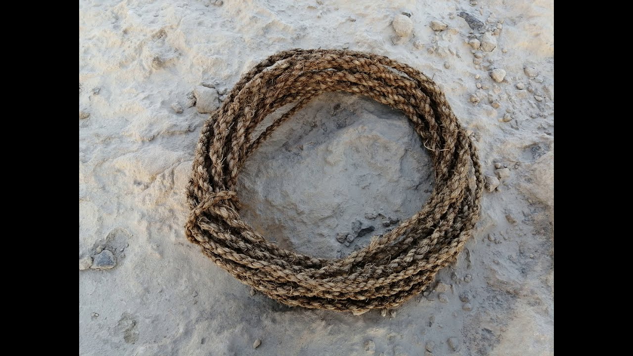 Primitive Technology: How to make a strong rope from the palm tree