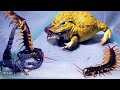 Wow!! Asian Bullfrog With Big Centipede And Big Scorpion! Warning Live Feeding