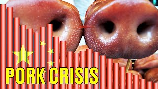 China's Pork Crisis Exposes the Tanking Economy - They Can't Hide It Anymore!