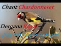 Chant Chardonneret  Dergana Royal اصل تغريد حسون درقانة روايال