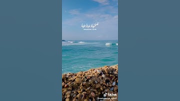 القران الكريم تيك توك
