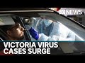 Victorians shut out of NSW as state hits worrying record number of cases | ABC News