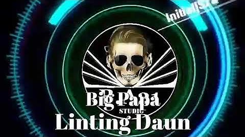 LINTING DAUN BIG PAPA SINGLE FUNKOT