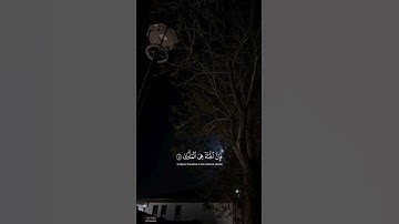 #سورة_النازعات | وأما من خاف مقام ربه ونهى النفس عن الهوى ﴾ #ماهر_المعيقلي #قران_كريم#quran