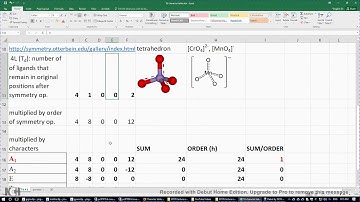 20 2a ML4 (Td point group) irreducible representations of the ligands