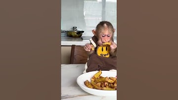 baby monkeys eat in a cultured way #funny #bayimonyet #shortsvideo #animal