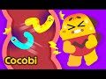 Parasites Song | What is a Parasite? | Nursery Rhymes & Kids Songs | Cocobi