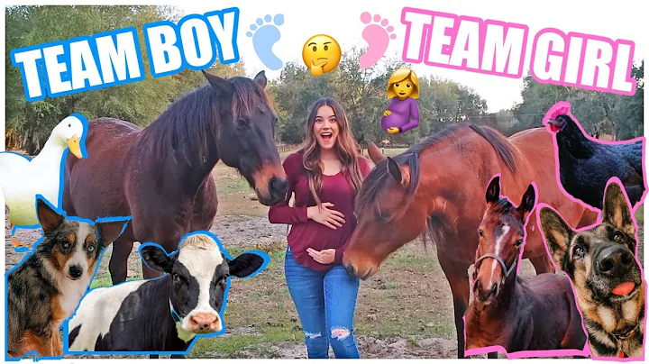 ALL MY PETS GUESS MY BABY'S GENDER!!!