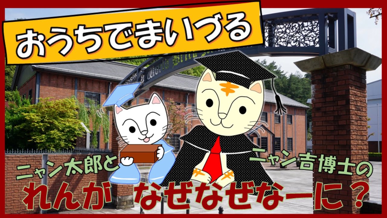 おうちで舞鶴 ニャン太郎とニャン吉博士の れんが なぜなぜなーに Youtube