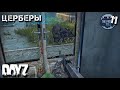 ЦЕРБЕРЫ И ДЕНЬ ОТКРЫТИЙ. DAYZ 11 серия