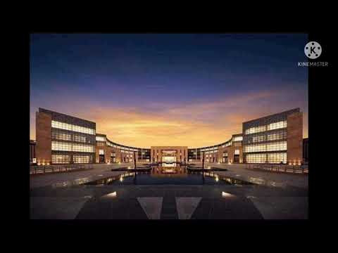 مصر عادت شمسك الذهب