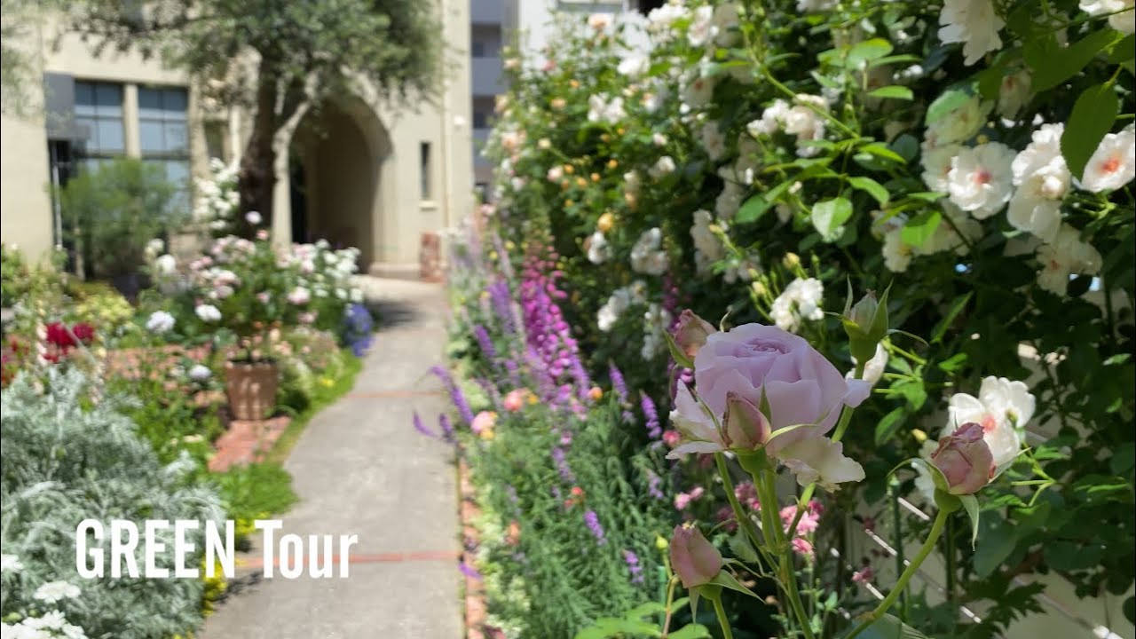 今が一番美しい！知ってたら絶対に友達に自慢できるバラや宿根草が咲き誇る美しすぎる素敵なお庭がある教会カフェレストラン！| フロインドリーブ 生田店 | 園芸/ガーデニング店巡り | 兵庫/神戸