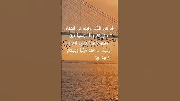 #سورة_البقرة #اكسبلور #تلاوة_سورة_البقرة #تلاوة_سورة_البقرة #سورة_البقرة_كاملة  #راحة_نفسية #duet