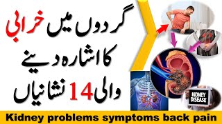 Kidney Problems Symptoms Back Pain And 13 More In Urdu Hindi