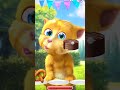talking ginger gameplay funny cat video talkingtomversion talking ginger gameplay funny cat video talkingtomversion