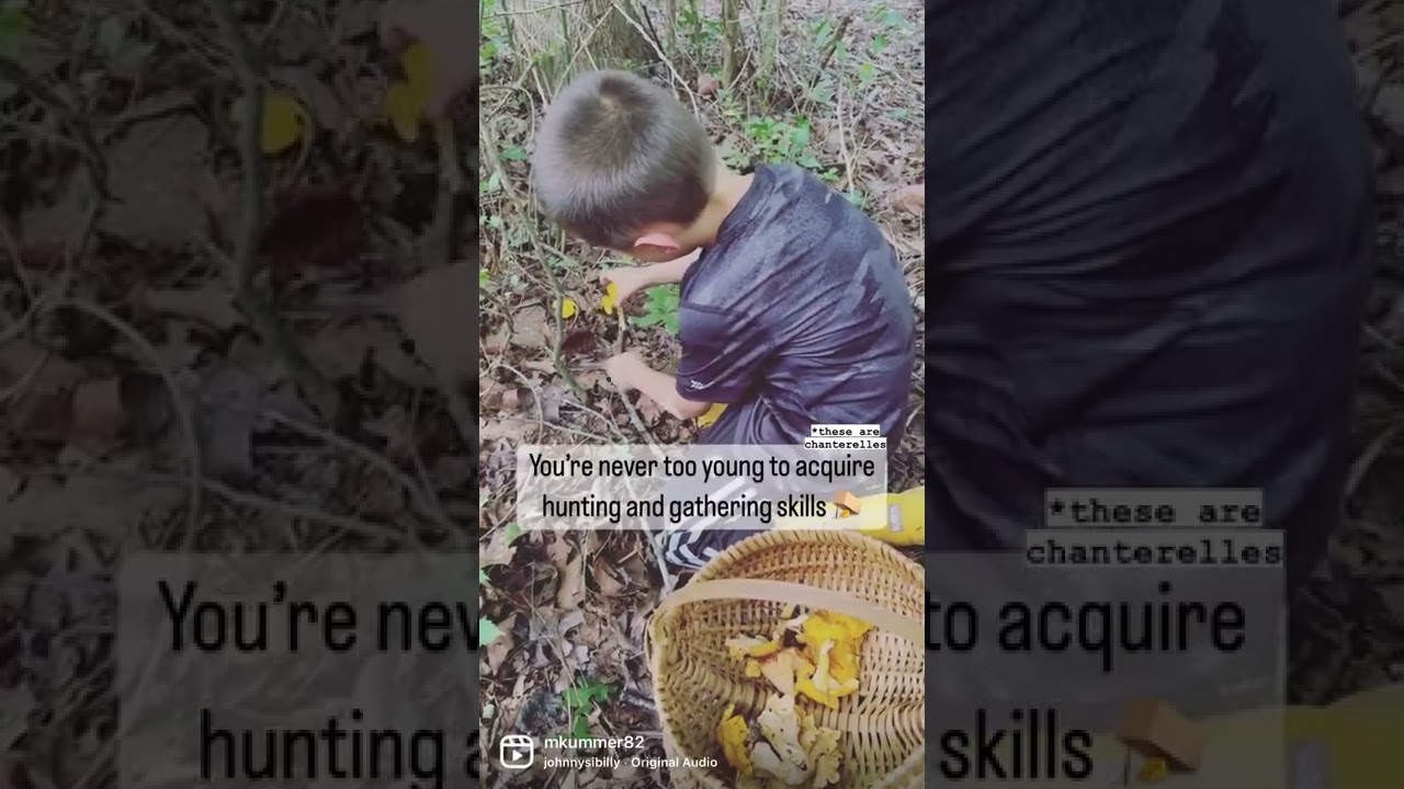 Foraging Chanterelles with our 6-Year Old