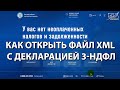 Как открыть файл XML с декларацией 3-НДФЛ