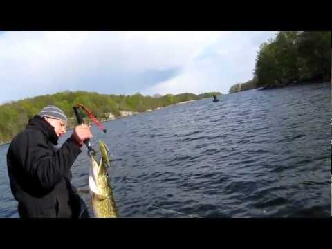 Salmo Sweeper video