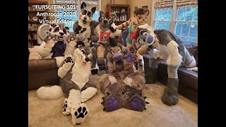 Fursuiting 101 with Gale Frostbane at VIRTUAL Anthrocon 2020
