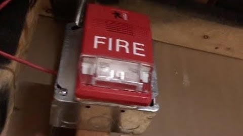 Home System Test 37: Synchronized EST Genesis Horn/Strobes!