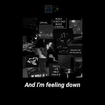 Story Wa sunflower - Rex orange county -