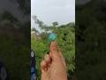 Survival Skills: SMART ideas andUseful in forest #survival #useful #ideas #smart #shorts #camping