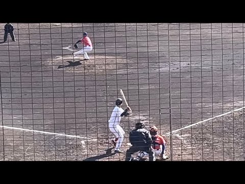 【元ソフトバンクホークス】小林珠維(オイシックス新潟アルビレックスBC)2025.2.18練習試合vs.くふうハヤテ