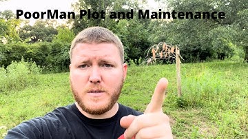Poor man food plot and maintenance