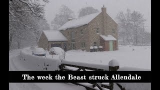 The Beast From The East  Allendale Documentary  2018