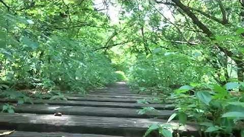 Trek by Dyno Equipment Camera Slider | Raw-Video Sample