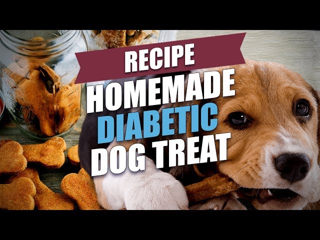 Homemade Diabetic Dog Treat Recipe