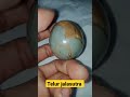 natural batu jalasutra telur