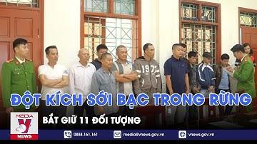 Đột kích sới bạc trong rừng, bắt giữ 11 đối tượng - VNews